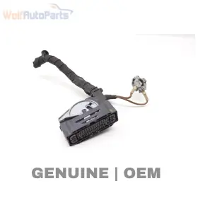 8w0973374 Audi 2019-2023 A8 Quattro - Fuel Delivery Module Wiring Harness / Connector