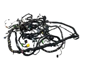 C131196401004oem Fisker 2011-2012 Karma Es Main Body Wire Wiring Harness C131196401004 Oem
