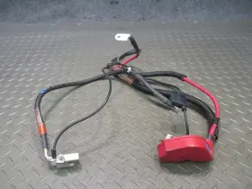 1w6t-14300 Ford 02-05 Thunderbird Set Of 2 Battery Terminal Positive And Negative Cable Oem