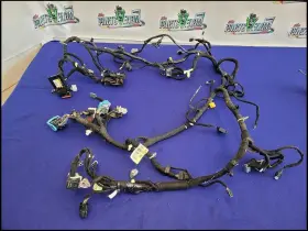 649.fd1i19 Ford 2019 Mustang Gt S550 Dash Front Harness Fuse Plug Read 2695