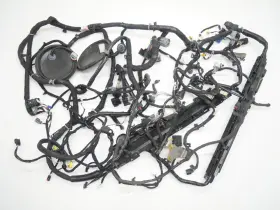 Fr3v-14a005-aeg Ford 2016 Mustang Gt350 5.2l Interior Body Wire Wiring Harness Oem