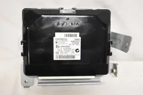 95480-2w570 Hyundai Ecm Theft-locking Lwb Left Hand Dash 954802w570 Fits 15-19 Santa Fe E3p08