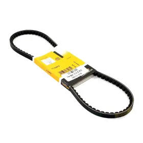 111903137e Isp Type 1 1973-1979 Vw Beetle And Super Alternator Belt By Continental