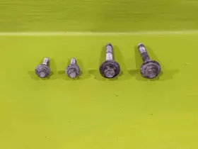 601.fd2u04 Lincoln 03 04 05 Town Car Alternator Bolts Oem 3813-11