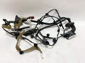 24124-1aa2a Nissan 08-14 Murano Front Right Rh Pass Side Door Wire Wiring Harness Set Oem