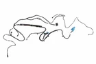 Genuine Gm Roof Console Wiring Harness 84320600 New. Price: $190.32.