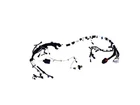 Genuine Mopar Engine Wiring 68399843AB. Price: $1071.00.