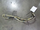 Lamborghini Gallardo LP560, LP550, LP570, Starter Wiring Cable, P/n 400971793D Used. Price: $75.00.