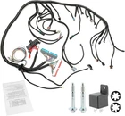 Standalone Wiring Harness, 4L60E Dbc, Red/blue Pcm, Compatible With. Price: $130.94.
