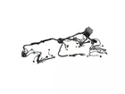 Genuine Mopar Headlamp To Dash Wiring 68336805AC New. Price: $681.95.