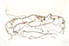 99-00 Mazda MX-5 Miata Main Body Wiring Harness NC1067230C Used. Price: $215.99.
