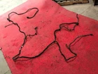 01 Dodge 2500 5.9L Diesel 4X4 Quad Cab Short Bed Frame Chassis Wire Harness Used. Price: $371.79.