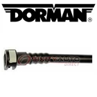 Dorman Fuel Line Connector 1986-1997 Ford F-350 4.9L 5.8L 7.5L L6 V8 Air Nj New. Price: $30.31.