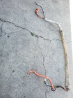 Toyota Prius 2006 Inverter Battery Wire Harness 82164-47060 A38 Used. Price: $180.00.