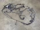 Inner Fender Headlight Wire Wiring Harness W/ Fuse Box Fits 02-05 Ford Excursion Used. Price: $200.00.