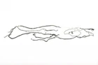2024 Frontier 4X2 Pro-x Frame Chassis Wiring Harness 240279BW3B Used. Price: $180.00.