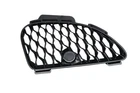 14-17 Jaguar F-type X152 Front Left Side Bumper Grille EX538A412 Oem Used. Price: $99.00.