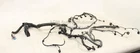 2024 2025 Mazda CX-90 2.5L Phev Engine Motor Wire Wiring Harness Oem Used. Price: $799.00.
