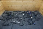 Front & Rear Body Chassis Wiring Harness 338454 338456 1008845M 488 Challenge 19 Used. Price: $2129.99.