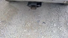 Used Engine Control Module (ecm) Fits: 2001 Dodge 2500 Pickup Electronic. Price: $854.91.