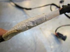 2007 Audi S4 Front Rh Passenger Seat Back Wiring Used. Price: $32.00.