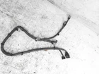2013-2015 Lexus GS350 F-sport Front Engine Room Wiring Harness #3 82112-30G50 Used. Price: $56.05.