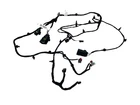2024 Honda Prologue Central Floor Console Body Lower Front Wire Harness 85030201 Used. Price: $160.00.