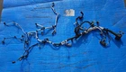 21-24 Ford F-150 3.5L Engine Wiring Harness NU5Z-12A581-YA Oem Used. Price: $269.95.