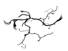 2025 Honda Prologue Oem Front Engine Motor Drive Unit Cable Wire Wiring Harness Used. Price: $221.38.