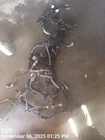 Engine Wire Harness Oem 2016 Honda Civic Used. Price: $303.00.