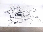 2020-2022 Toyota Corolla Dashboard Instrument Wire Harness 82141-1TM32 Used. Price: $398.00.