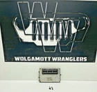 03 Jeep Tj Wrangler 4.0 Automatic Engine Control Module Ecm Pcm Ecu 56044096AH Used. Price: $375.00.
