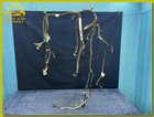 2019-2024 Ram 1500 5.7L Etorque Engine Wiring Harness Oem 68430573AD Used. Price: $200.00.