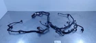 2007 Nissan Xterra 4.0L Engine Wire Wiring Harness Used. Price: $200.00.