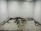 02 Toyota Tacoma 2.4L Automatic Transmission Engine Wire Harness 82121-3M190 Used. Price: $262.49.