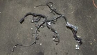 2019 Toyota Corolla ZRE172L 1.8L Wire/engine Harness 82121-0Z422 Used. Price: $160.00.