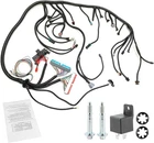 Standalone Wiring Harness, 4L60E Dbc, Red/blue Pcm, Compatible With. Price: $121.28.